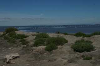 DSC09619.JPG