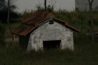 DSC09681.JPG