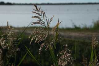 DSC09749.JPG