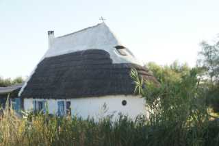 DSC09760.JPG