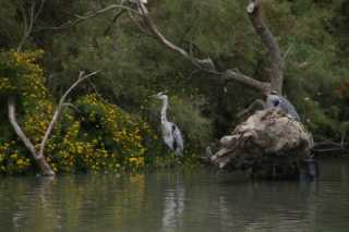 DSC09833.JPG