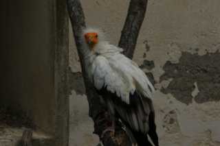 DSC09834.JPG