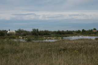 DSC09899.JPG