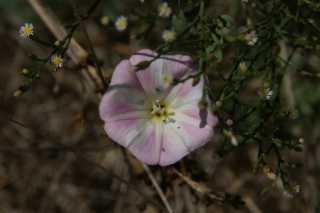 DSC09933.JPG