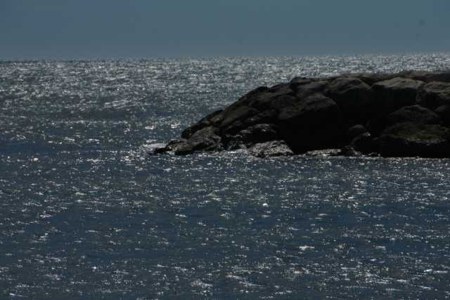 DSC00089.JPG