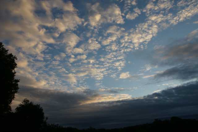DSC09330.JPG