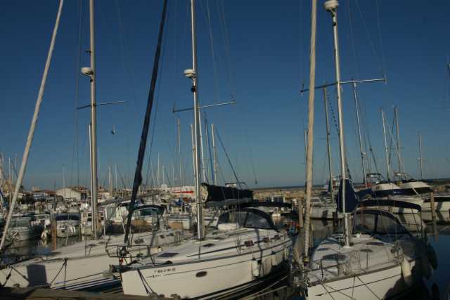 DSC09444.JPG