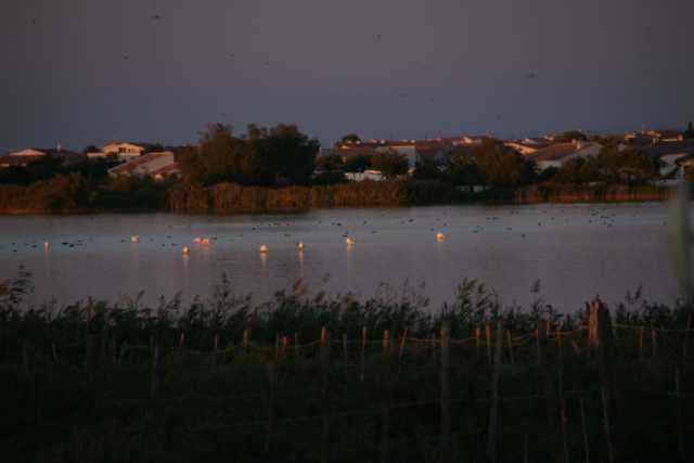 DSC09490.JPG