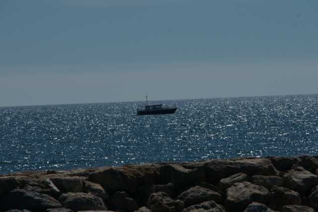 DSC09584.JPG