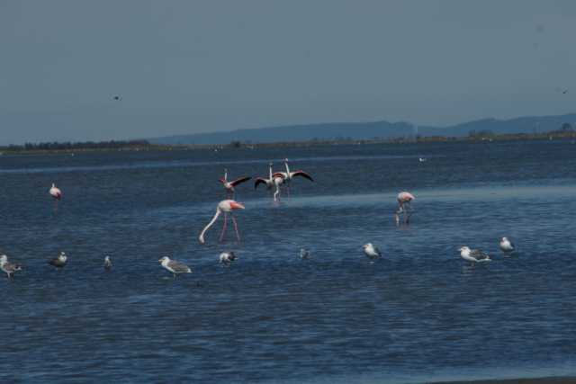 DSC09626.JPG