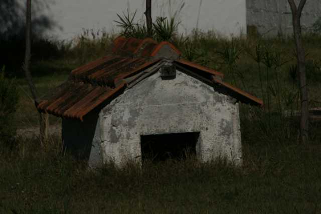 DSC09681.JPG