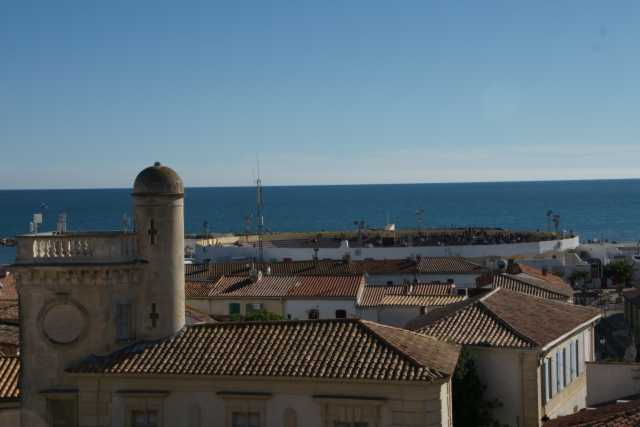 DSC09686.JPG