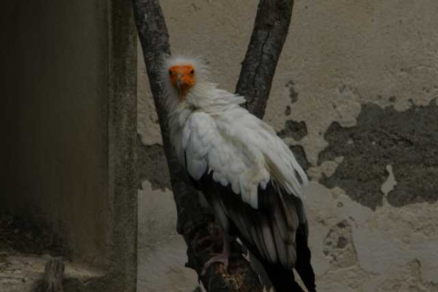 DSC09834.JPG