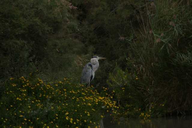 DSC09836.JPG