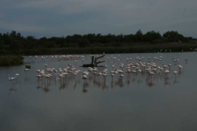 DSC09892.JPG