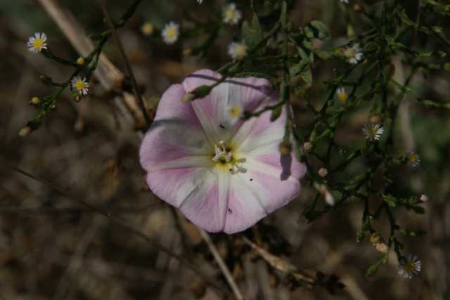 DSC09933.JPG