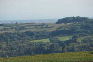 DSC00465.JPG