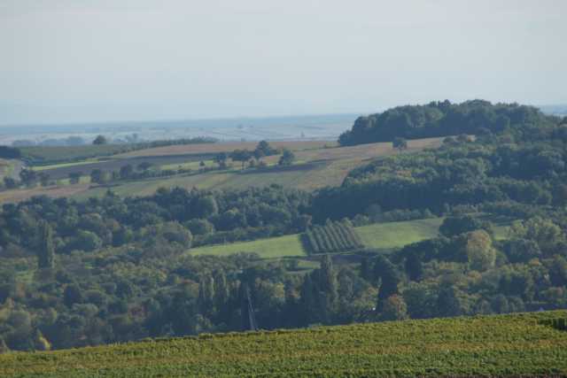 DSC00465.JPG