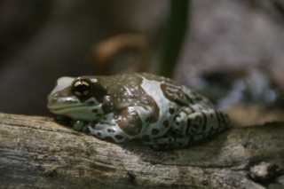 DSC01178.JPG
