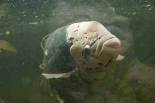 DSC01275.JPG