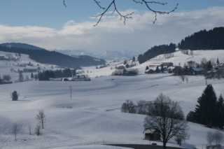 DSC01978.JPG