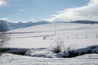 DSC02045.JPG