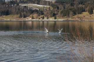 DSC02093.JPG