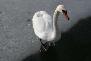 DSC02100.JPG