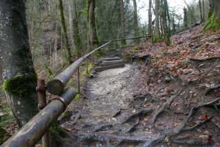 DSC02154.JPG