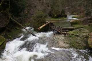 DSC02165.JPG
