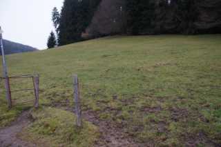 DSC02186.JPG