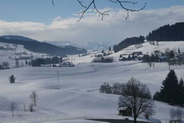 DSC01978.JPG