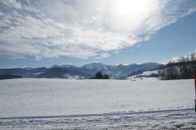 DSC02019.JPG