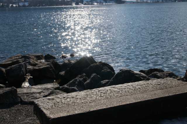 DSC02083.JPG