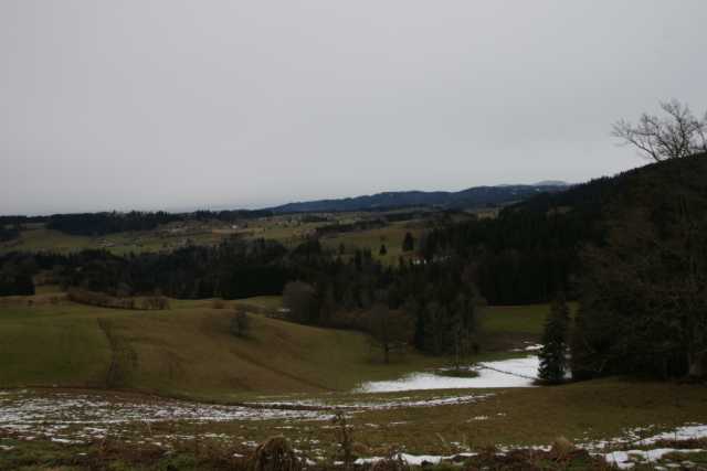 DSC02183.JPG