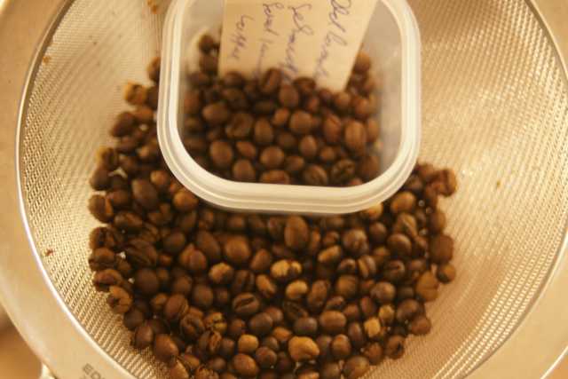 DSC02203.JPG