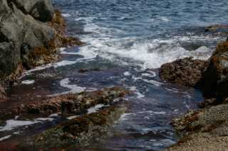 DSC03763.JPG