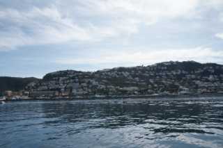 DSC03800.JPG