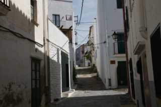 DSC04024.JPG