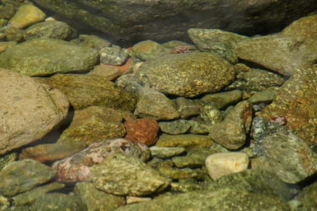 DSC03758.JPG