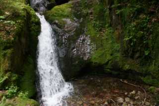 DSC04173.JPG