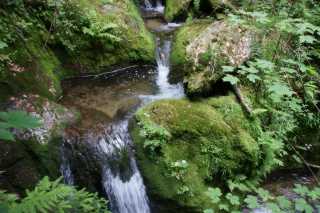 DSC04184.JPG