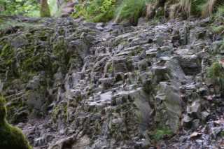 DSC04201.JPG