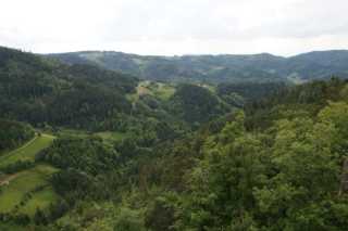 DSC04225.JPG