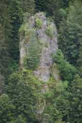 DSC04231.JPG