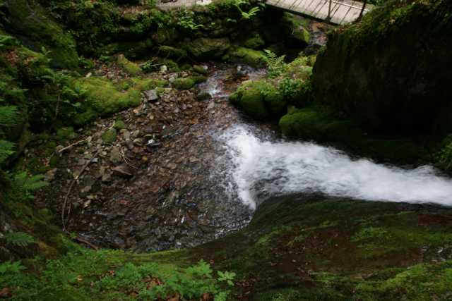 DSC04177.JPG