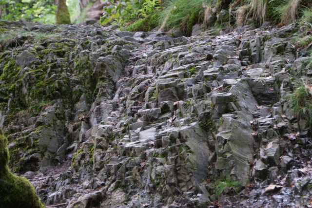 DSC04201.JPG