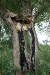 DSC05001.JPG
