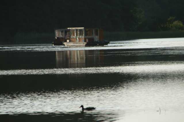 DSC04630.JPG