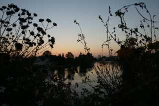 DSC05138.JPG